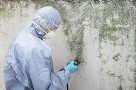 Best Asbestos and Lead Testing During Mold Inspection  in Killen, AL